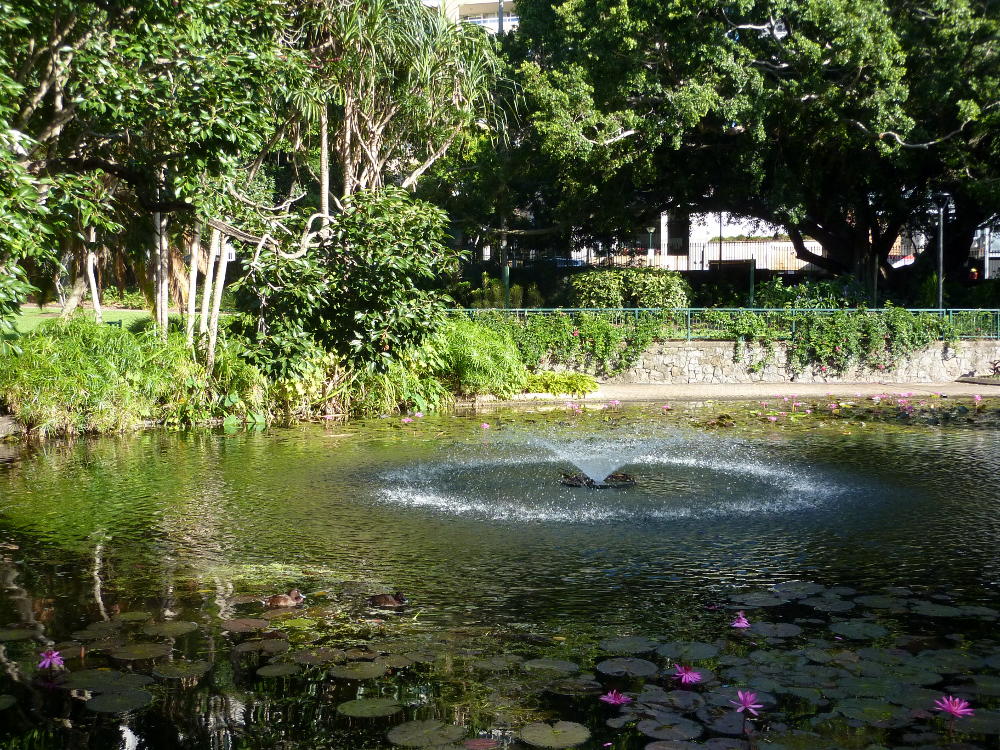 Royal Botanic Garden in Brisbane