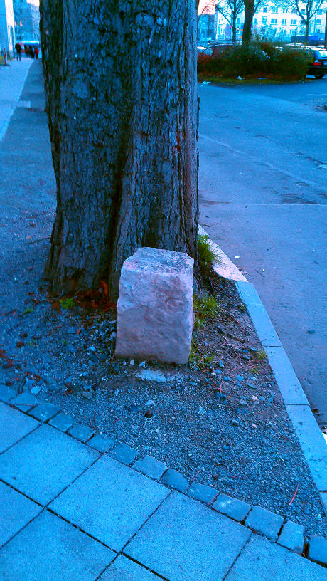 Stein vor einem Baum