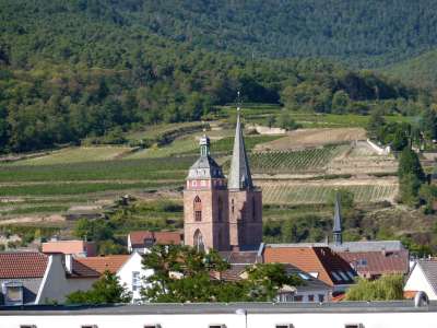 Blick zurück auf Hambach – mit Kirche und Weinbergen, ohne das berühmte Schloss.