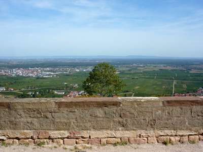 Der Aufstieg zum Hambacher Schloss lohnt sich nicht nur wegen der historischen Bedeutung des Orts, sondern auch wegen des Ausblicks in die Rheinebene.