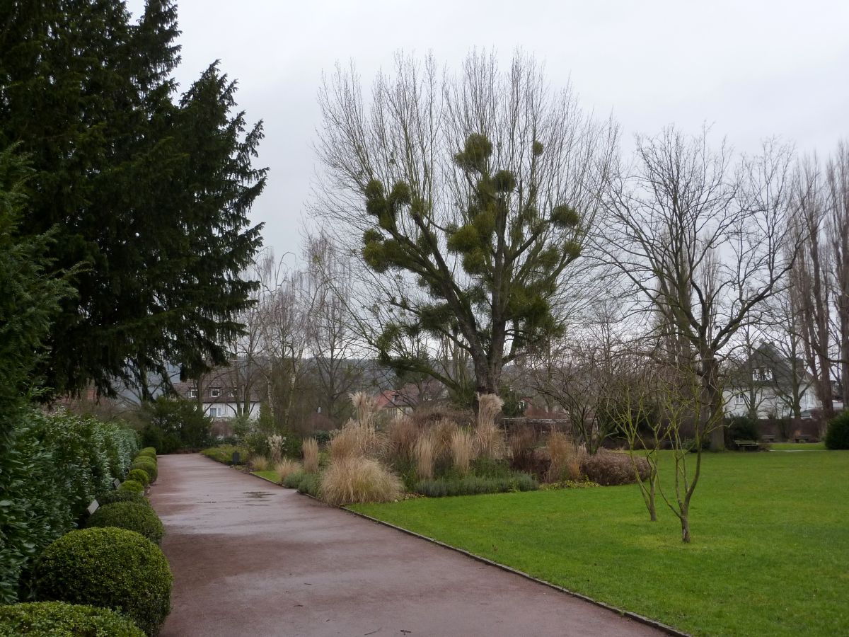 Im Vorderen Westen gibt es mit dem Stadthallen-Garten einen kleinen, feinen und ein wenig versteckten Park.